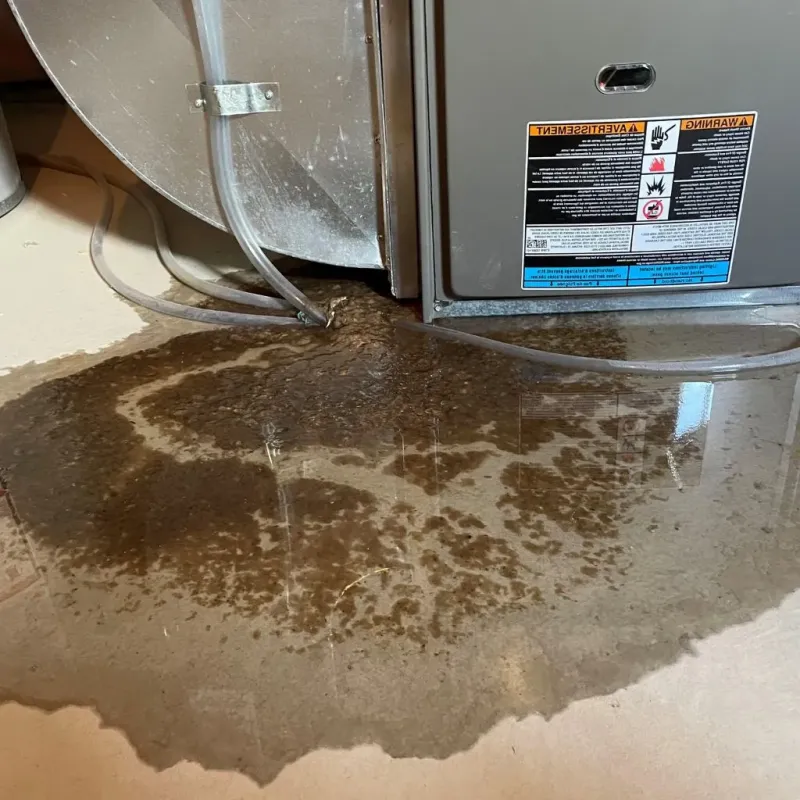 Pipe Burst and Leak Restoration in Portsmouth, RI