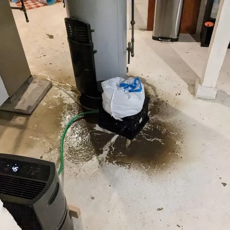 Sewage Backup Cleanup Service in Portsmouth, RI